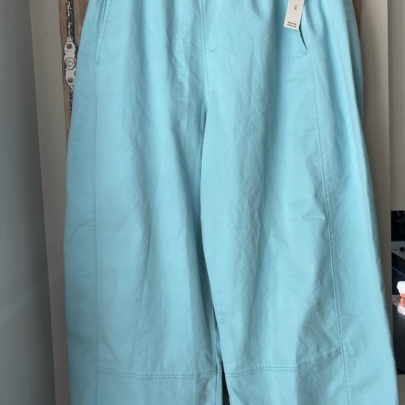 ANTHROPOLOGIE pants . Robin egg blue . Size medium. NWT - Picture 6 of 7